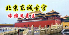 猛插。网站中国北京-东城古宫旅游风景区